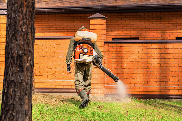 Trusted Cockroach Control service in Dixon, KY - Nex Pest Control